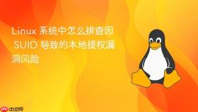 linux 系统中怎么排查因 suid 导致的本地提权漏洞风险