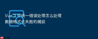 Vue 3 中统一错误处理怎么处理数据格式化失败的捕获