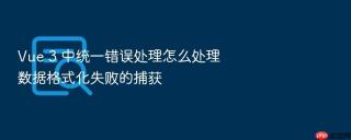 vue 3 中统一错误处理怎么处理数据格式化失败的捕获
