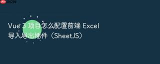 Vue 3 项目怎么配置前端 Excel 导入导出插件（SheetJS）