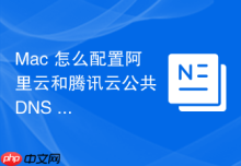 Mac 怎么配置阿里云和腾讯云公共 DNS 提升访问速度