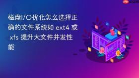 磁盘i/o优化怎么选择正确的文件系统如 ext4 或 xfs 提升大文件并发性能
