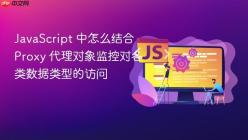 JavaScript 中怎么结合 Proxy 代理对象监控对各类数据类型的访问