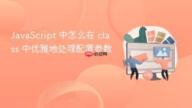 JavaScript 中怎么在 class 中优雅地处理配置参数