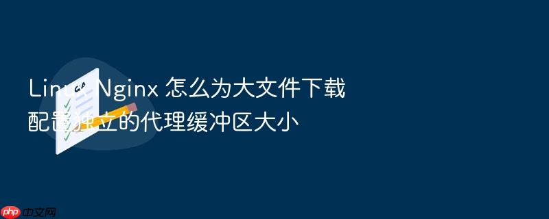 linux nginx 怎么为大文件下载配置独立的代理缓冲区大小