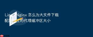 linux nginx 怎么为大文件下载配置独立的代理缓冲区大小