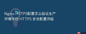 Nginx HTTPS配置怎么验证生产环境中的 HTTPS 安全配置评级