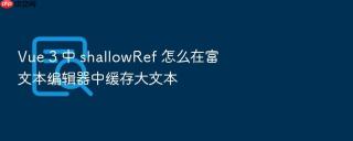 vue 3 中 shallowref 怎么在富文本编辑器中缓存大文本