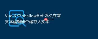 Vue 3 中 shallowRef 怎么在富文本编辑器中缓存大文本