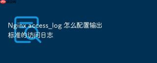 Nginx access_log 怎么配置输出标准的访问日志