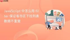 JavaScript 中怎么用 filter 保证省市区下拉列表数据不重复
