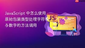 javascript 中怎么使用原始包装类型处理字符串与数字的方法调用
