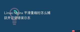 Linux Nginx 平滑重载时怎么捕获并记录错误日志