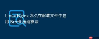 linux nginx 怎么在配置文件中启用 brotli 压缩算法