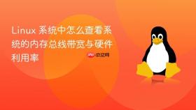 linux 系统中怎么查看系统的内存总线带宽与硬件利用率