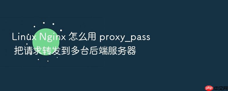 linux nginx 怎么用 proxy_pass 把请求转发到多台后端服务器