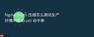 nginx brotli 压缩怎么测试生产环境中的 brotli 命中率