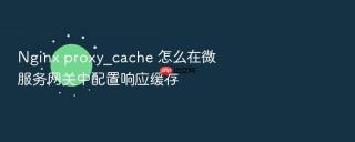 Nginx proxy_cache 怎么在微服务网关中配置响应缓存