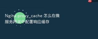nginx proxy_cache 怎么在微服务网关中配置响应缓存