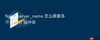 nginx server_name 怎么排查多个 server 块冲突