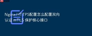 nginx https配置怎么配置双向认证 mtls 保护核心接口