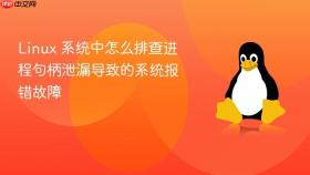 linux 系统中怎么排查进程句柄泄漏导致的系统报错故障