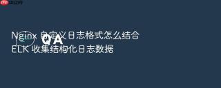 nginx 自定义日志格式怎么结合 elk 收集结构化日志数据