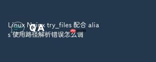 linux nginx try_files 配合 alias 使用路径解析错误怎么调