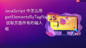 javascript 中怎么用 getelementsbytagname 获取页面所有的输入框
