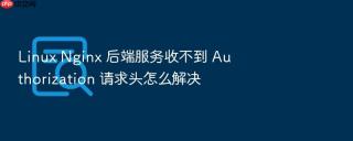 linux nginx 后端服务收不到 authorization 请求头怎么解决