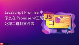 JavaScript Promise 中怎么在 Promise 中正确处理二进制文件流