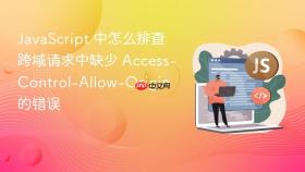 JavaScript 中怎么排查跨域请求中缺少 Access-Control-Allow-Origin 的错误