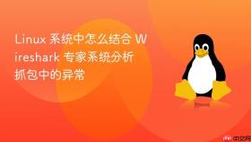 Linux 系统中怎么结合 Wireshark 专家系统分析抓包中的异常