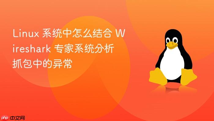 linux 系统中怎么结合 wireshark 专家系统分析抓包中的异常