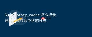 nginx proxy_cache 怎么记录详细的缓存命中状态日志