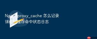 Nginx proxy_cache 怎么记录详细的缓存命中状态日志