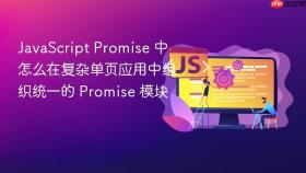 JavaScript Promise 中怎么在复杂单页应用中组织统一的 Promise 模块