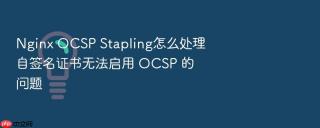 Nginx OCSP Stapling怎么处理自签名证书无法启用 OCSP 的问题