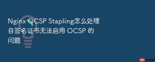 nginx ocsp stapling怎么处理自签名证书无法启用 ocsp 的问题