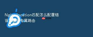 nginx location匹配怎么配置错误页面的专属路由