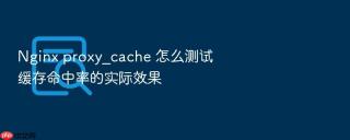 Nginx proxy_cache 怎么测试缓存命中率的实际效果
