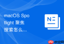 macos spotlight 聚焦搜索怎么通过输入大写字母快速触发词典翻译