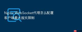 Nginx WebSocket代理怎么配置客户端最大报文限制