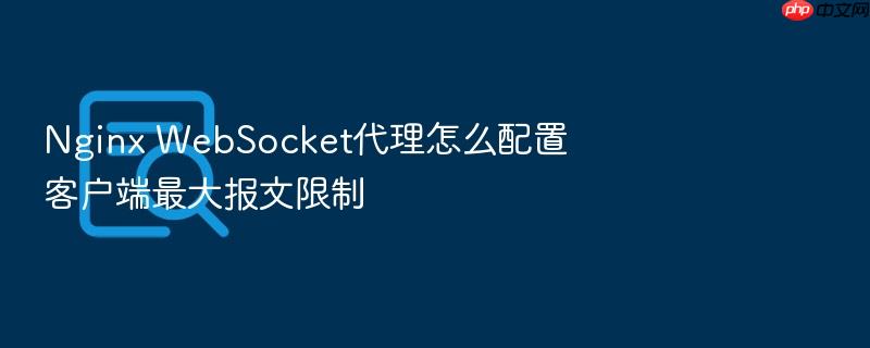 nginx websocket代理怎么配置客户端最大报文限制