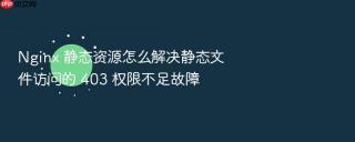 nginx 静态资源怎么解决静态文件访问的 403 权限不足故障