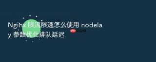 nginx 限流限速怎么使用 nodelay 参数优化排队延迟