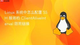 Linux 系统中怎么配置 SSH 服务的 ClientAliveInterval 防死链接
