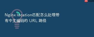 nginx location匹配怎么处理带有中文编码的 url 路径