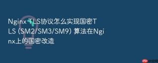 Nginx TLS协议怎么实现国密TLS (SM2/SM3/SM9) 算法在Nginx上的国密改造