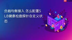 负载均衡接入 怎么配置slb健康检查探针自定义状态
